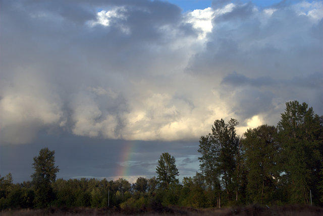 Rainbow near I-5, 44,146 octets